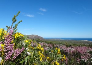 Updated Week 40 of 2013 – Gansbaai News, Specials & Events